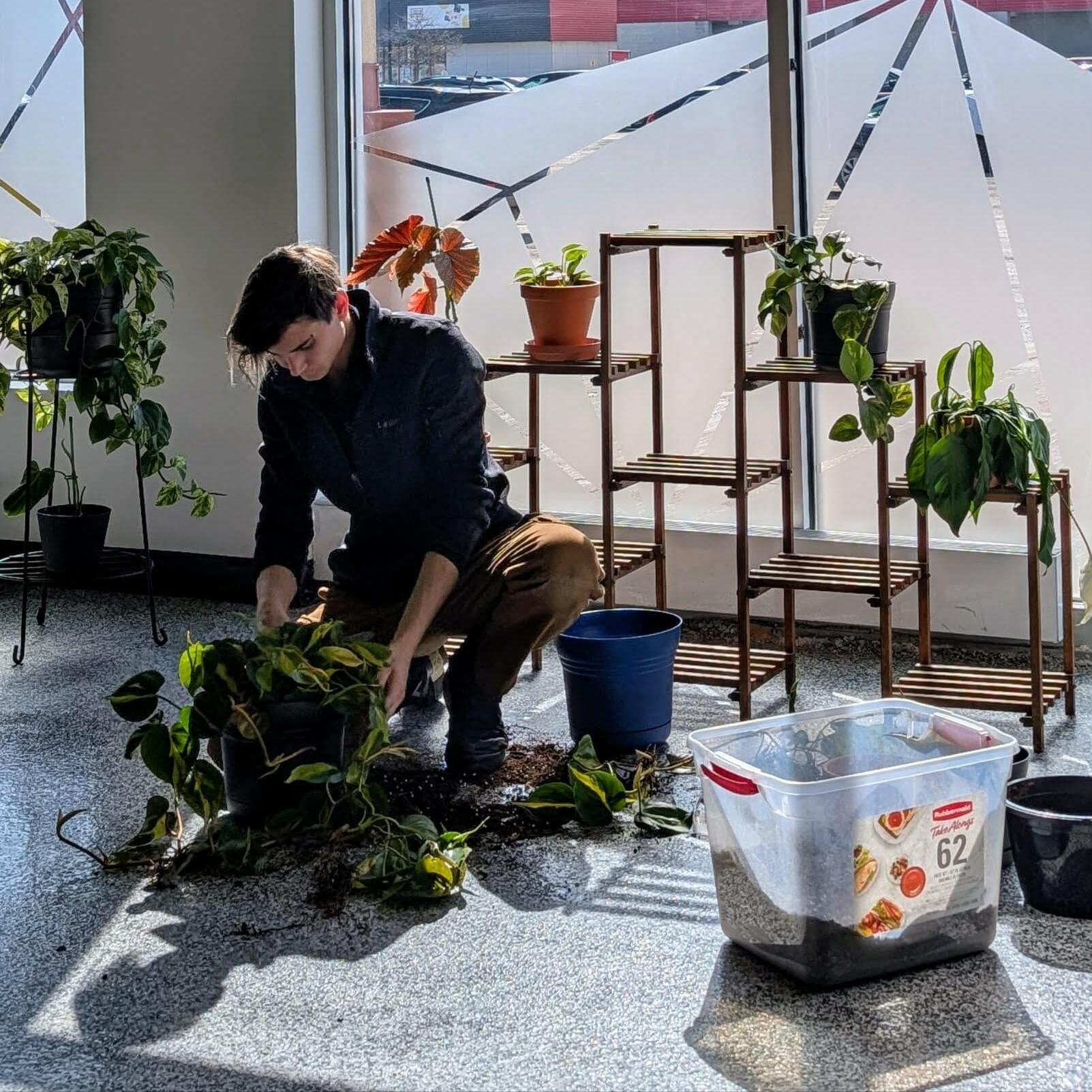 Professional Plant Person in Ottawa Affordable $50 per Hour for All Your Gardening Needs