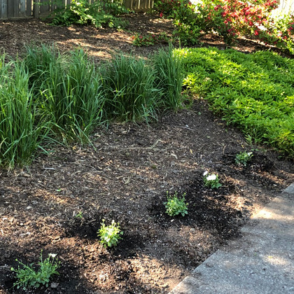 Gardening gal available to help with residential spring clean-up, summer and fall maintenance projects on ad-hoc basis