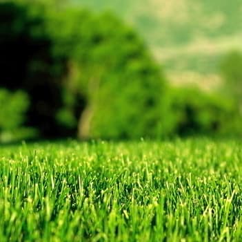 At Bladerunners we offer general lawn care services for all residential properties in the Winnipeg area.